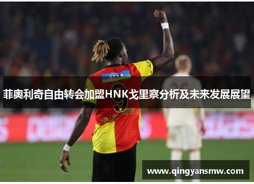 菲奥利奇自由转会加盟HNK戈里察分析及未来发展展望