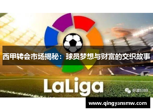 西甲转会市场揭秘:球员梦想与财富的交织故事 西甲转会市场揭秘:球员梦想与财富的交织故事