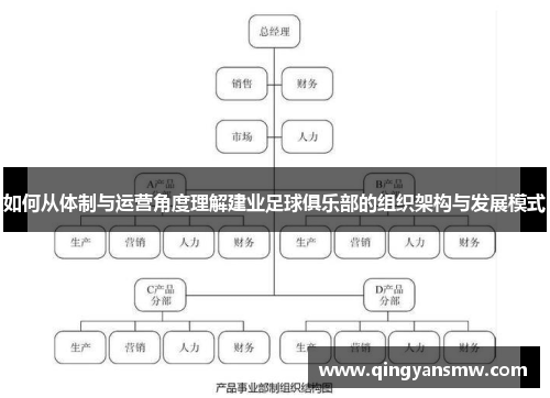如何从体制与运营角度理解建业足球俱乐部的组织架构与发展模式